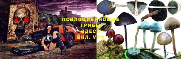 стаф Ростов