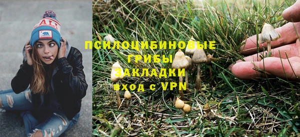 гидропоника Алексеевка