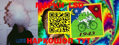 индика Можайск