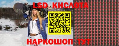 шишки Можга