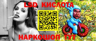 шишки Можга