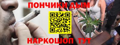 индика Можайск