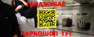 шишки Можга