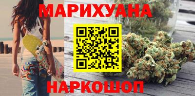 шишки Можга