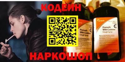 индика Можайск