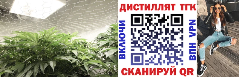 blacksprut tor Балашов Дистиллят ТГК жижа